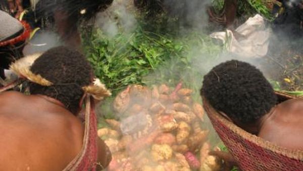 Upacara Bakar Batu di Kampung suku Dani, Wamena