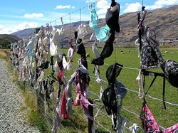 Ups! Pernah Ada Pagar Penuh Bra di Selandia Baru