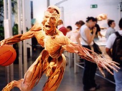 Utak Atik Organ Manusia di Singapore Science Center