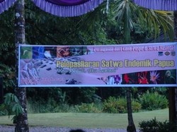 Wah, 6 Hewan Langka Lepas di Timika