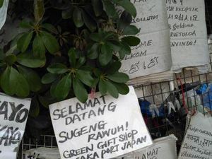 Wah! Bahasa Jawa Dipakai di Jepang