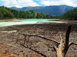 Wah! Kemarau Panjang, Telaga Warna Dieng Surut