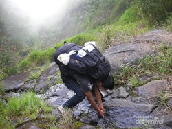 Wajib Coba! Mendaki Gunung Sumbing Via Mangli