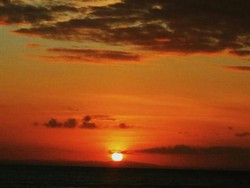 Wakatobi, Petualangan yang Tidak Terlupakan