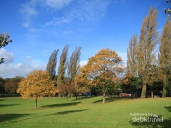 Warna-warni Musim Gugur di Victoria Park, Inggris