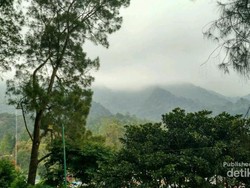 Weekend, Asyiknya Liburan ke Kebun Raya Cibodas