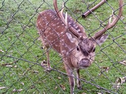 Weekend di Bandung, ke Kertamanah Yuk!