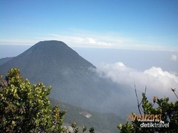 Weekend Ini, yuk Mendaki Gunung Gede!