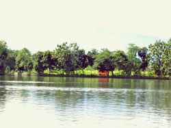 Weekend Segar Jalan-jalan ke Situ Gede Bogor