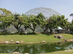 Weekend Seru di Taman Burung TMII