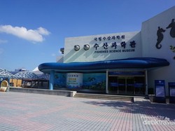 Wisata Bahari & Edukasi di Museum Perikanan Busan