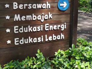 Wisata Berkebun di Jakarta, Bisa Kok!