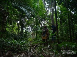 Wisata Budaya Suku Dayak Tomun di Kalimantan Tengah