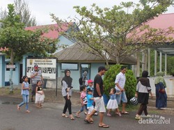 Wisata Edukasi di Penangkaran Penyu Pariaman