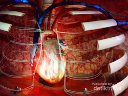 Wisata ke Dalam Tubuh Manusia, Seperti Apa?