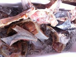 Wisata Kuliner Rahang Tuna Bakar Rica Manado yang Bikin Goyang Lidah