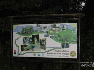 Wisata Lengkap di Pusat Pendidikan Konservasi Alam Bodogol