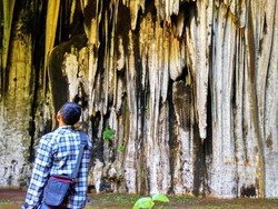 Wisata Mistis di Pacitan, Mampir ke Gua Kalak