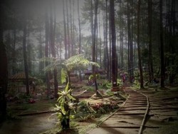 Wisata Murah yang Instagramable dari Lembang