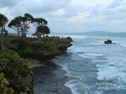 Wisata Sambil Belajar di Penangkaran Penyu Pangandaran