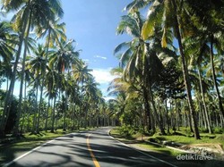 Wisata Selancar di Pantai Krui, Lampung yang Tersembunyi