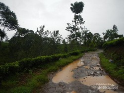 Wow! Ada Air Terjun Secantik Ini di Cianjur