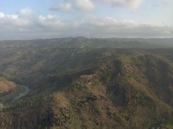 Wow! Ada Amazon di Yogyakarta