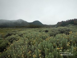 Wow! Ada Kolam Air Panas Ala Jepang di Gunung Papandayan, Garut