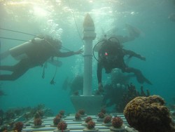 Wow! Ada Monas di Dalam Laut Kepulauan Seribu