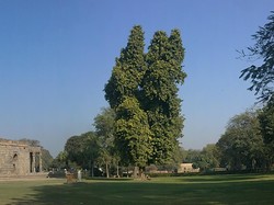 Wow! India Punya Menara Batu Bata Tertinggi di Dunia