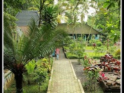 Wow! Kolam Cinta di Mojokerto Ini Tak Pernah Kering