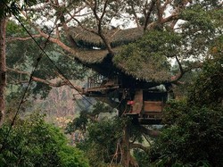 Wushhh! Meluncur dari Pohon ke Pohon di Laos