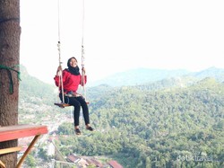 Yang Baru dan Instagramable di Sawahlunto: Puncak Cemara