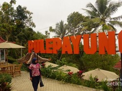 Yang Baru di Kulonprogo, Wisata Pule Payung