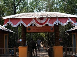 Yang Beda di Karimunjawa, Jelajah Hutan Mangrove