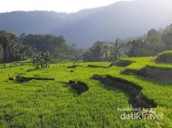 Yang Hijau dan Segar di Garut Selatan: Kampung Saparantu