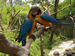 Yang Lain dari Ancol: Kebun Binatang Mini