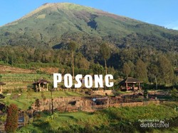 Yang Memikat di Kaki Gunung Sindoro
