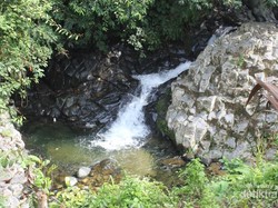 Yang Segar dari Sumbar, Air Terjun Lubuk Tempurung di Padang