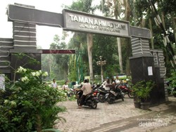 Yang Segar-segar di Medan