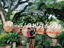 Yang Sejuk-sejuk di Banyuwangi, De Djawatan Benculuk