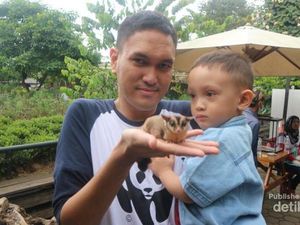 Yuk, Bermain Bersama Hewan Lucu di Farmhouse Bandung