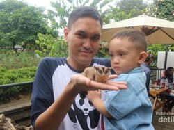 Yuk, Bermain Bersama Hewan Lucu di Farmhouse Bandung