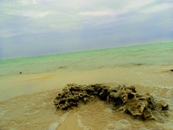 Yuk, Berwisata Bakau di Pulau Tidung!