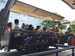 Yuk, Lepaskan Penat di Kebun Binatang Batu Secret Zoo! Gratis!