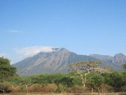 Yuk, Liburan Akhir Pekan Tak Terlupakan di Baluran