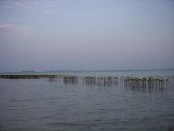 Yuk! Liburan Bareng Keluarga di Kepulauan Seribu