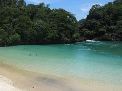 Yuk! Menikmati Laguna Sempu