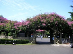 Yuk! Wisata ke 3 Kampus Terindah di Indonesia