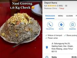 Viral Nasi Goreng 1,6 Kilogram, Harganya Cuma Rp 30 Ribuan!